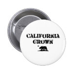 Oso crecido California Pins