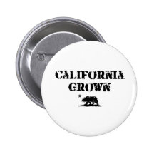 Oso crecido California Pins