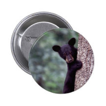 Oso Cub negro Pins