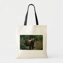 Oso de Brown del Kodiak Bolsa