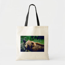 Oso de Brown del Kodiak Bolsas