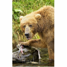 Oso de Brown que alimenta en salmones Esculturas Fotográficas