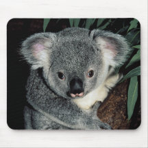 Oso de koala lindo alfombrilla de ratón