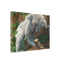 Oso de koala lindo el dormir impresión en lona estirada
