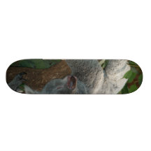 Oso de koala lindo el dormir patin