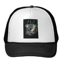 Oso de koala lindo gorros  