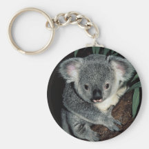 Oso de koala lindo llavero