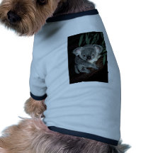 Oso de koala lindo ropa de perro