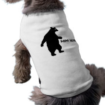 Oso de la papá ropa perro