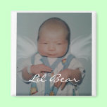 Oso de Lil imanes