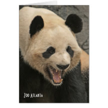 Oso de panda en la tarjeta de felicitación de Atla