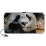 Oso de panda hambriento PC altavoces