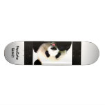 Oso de panda monopatin