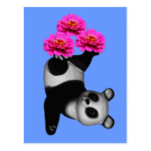 Oso de panda y postal rosada de la flor del Zinnia