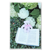 oso de peluche, hydrangeas, y libro impresiones fotograficas