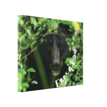 Oso del peekaboo impresión en lona estirada