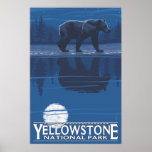 Oso en claro de luna - parque nacional de Yellowst Poster