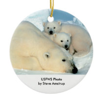 Oso en peligro/polar y Cubs adornos