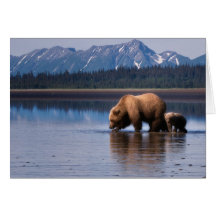 Oso grizzly Notecard Tarjetas