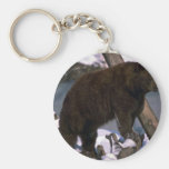 Oso negro americano que se coloca en registro nevo llaveros personalizados