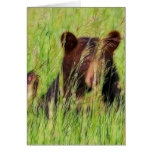 Oso negro de Fractalius Felicitaciones