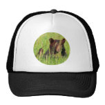 Oso negro de Fractalius Gorros