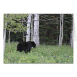 Oso negro en TA Notecards del nanovatio Tarjeton