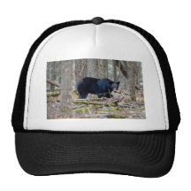 Oso negro gorro de camionero