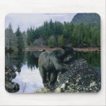 Oso negro y fauna Mousepad del lago