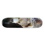 Oso Patineta Personalizada