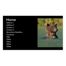 oso plantilla de tarjeta personal
