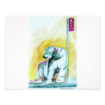 oso polar anuncio personalizado