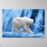 Oso polar en la cascada congelada impresiones