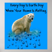Oso polar poster