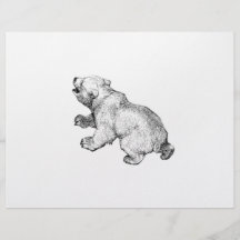 OSO POLAR TARJETAS INFORMATIVAS