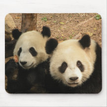 Osos de panda Mousepad Alfombrillas De Ratón