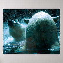 Osos en la noche ártica impresiones