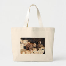 Osos grizzly bolsas