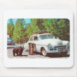 Osos hambrientos Mousepad Tapete De Ratones