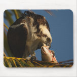 Osprey Alfombrilla De Raton
