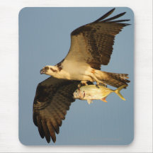 Osprey Alfombrillas De Ratones