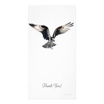 Osprey Tarjeta Fotografica Personalizada