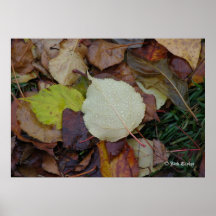 Otoño 02 poster