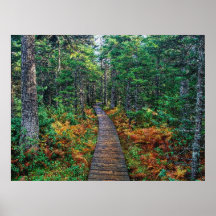 Otoño 29 topado poster