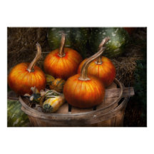 Otoño - calabaza - calabazas y algunas otras cosas comunicados