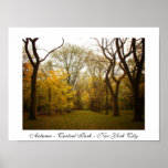 Otoño - Central Park - New York City Poster