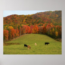 Otoño de Tennessee Poster