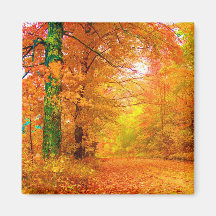 Otoño de Vermont Imán