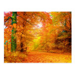 Otoño de Vermont Postal