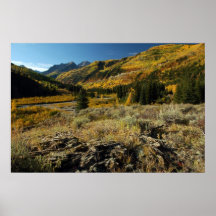 Otoño en Colorado Posters